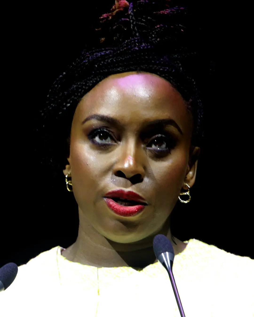 Portrait of Chimamanda Ngozi Adichie.